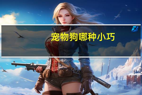 宠物狗哪种小巧