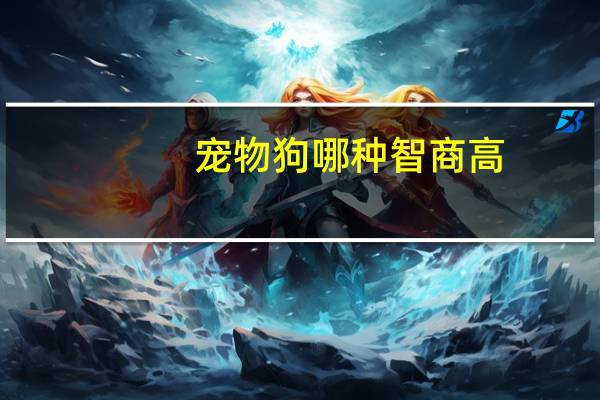 宠物狗哪种智商高