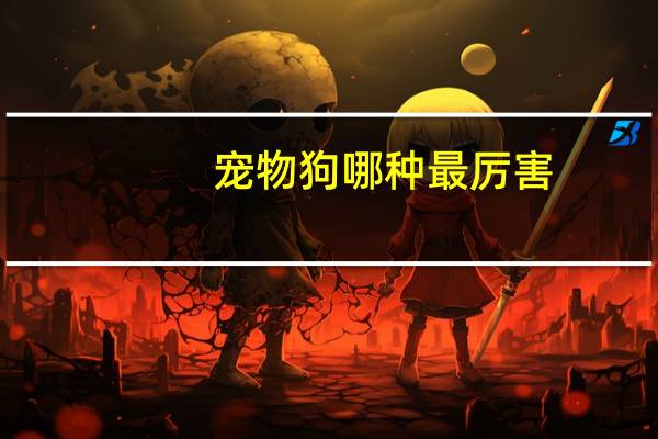 宠物狗哪种最厉害