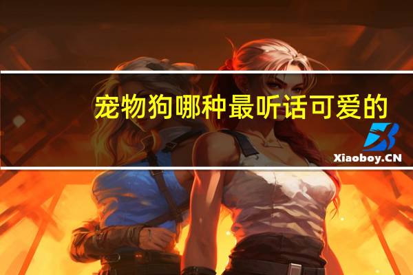 宠物狗哪种最听话可爱的
