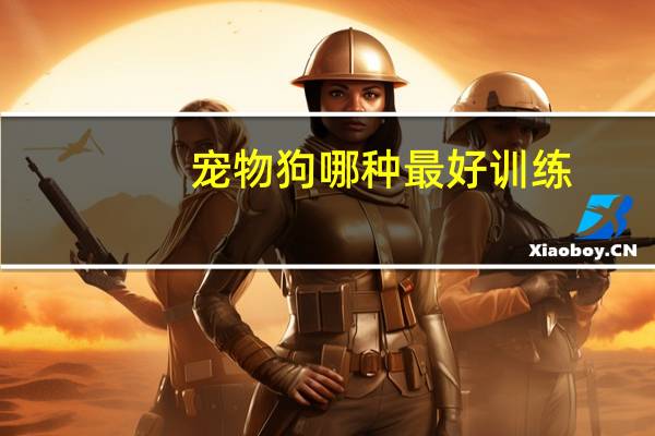 宠物狗哪种最好训练