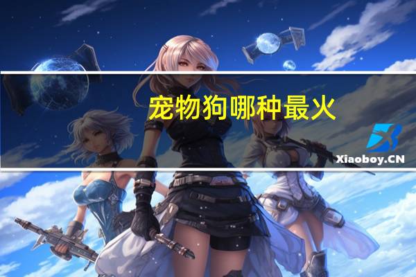 宠物狗哪种最火