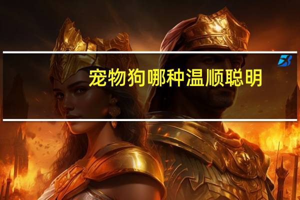 宠物狗哪种温顺聪明
