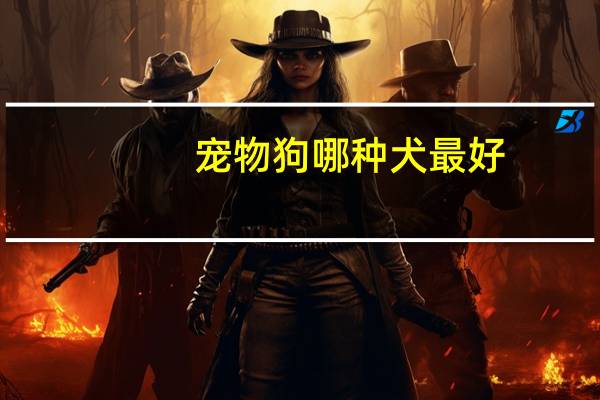 宠物狗哪种犬最好