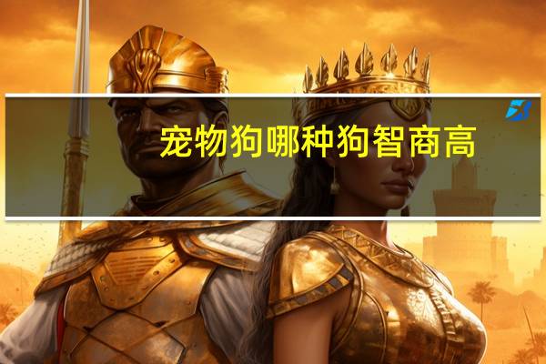 宠物狗哪种狗智商高