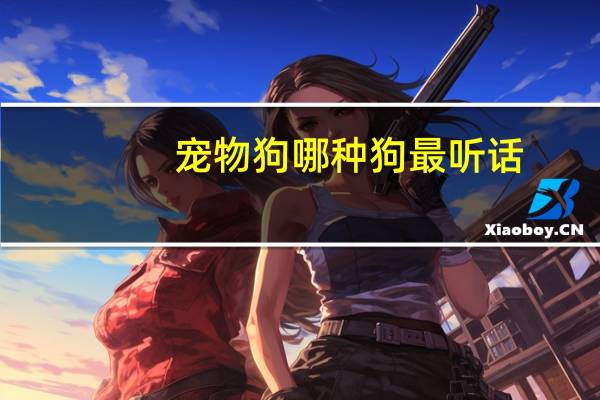 宠物狗哪种狗最听话