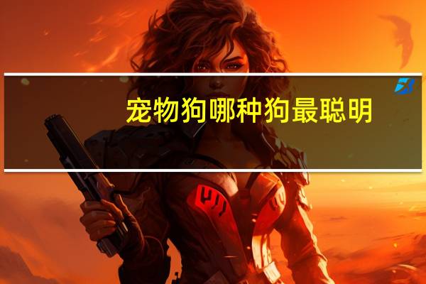 宠物狗哪种狗最聪明