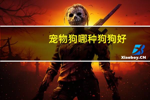 宠物狗哪种狗狗好