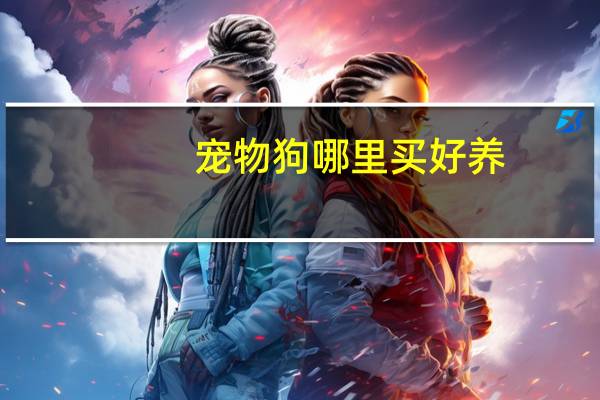 宠物狗哪里买好养