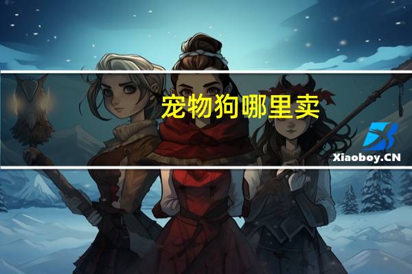 宠物狗哪里卖