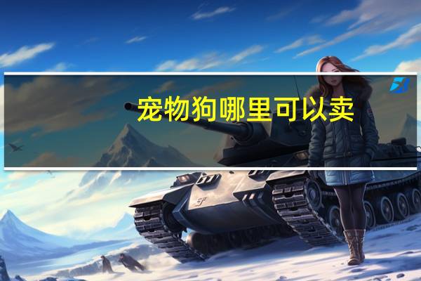宠物狗哪里可以卖
