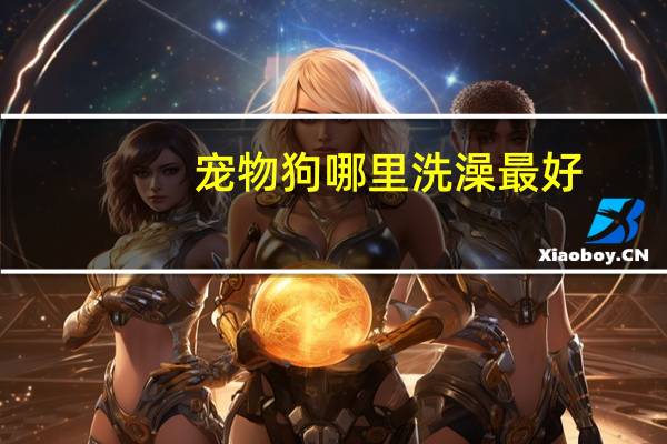 宠物狗哪里洗澡最好