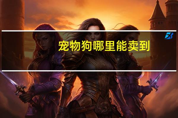 宠物狗哪里能卖到