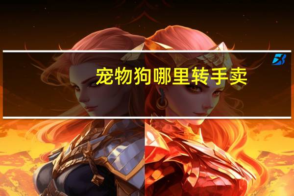 宠物狗哪里转手卖