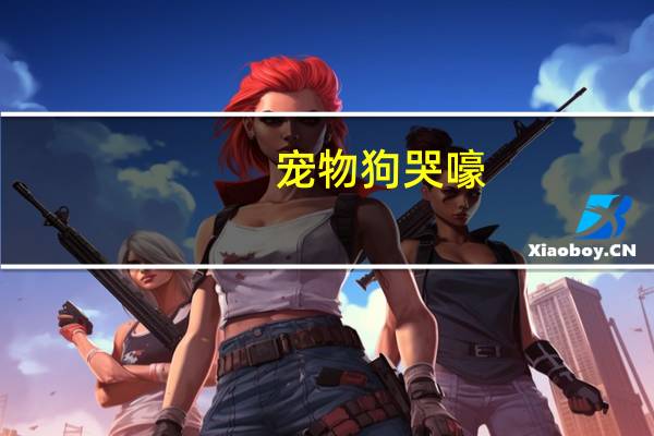 宠物狗哭嚎