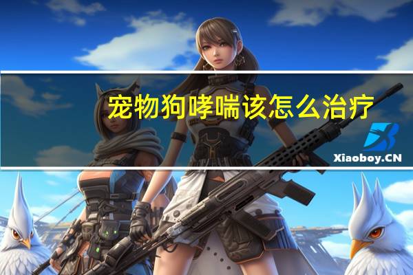 宠物狗哮喘该怎么治疗