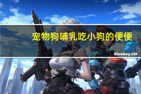 宠物狗哺乳吃小狗的便便