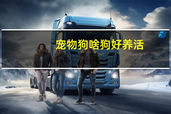 宠物狗啥狗好养活