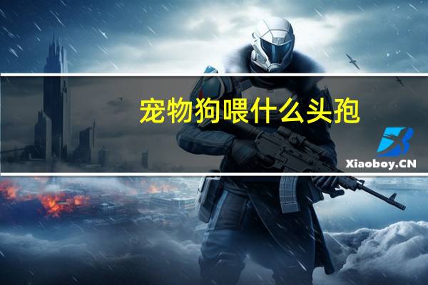 宠物狗喂什么头孢