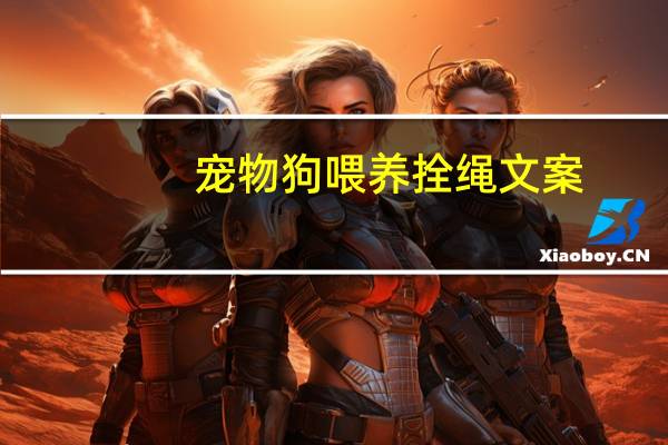 宠物狗喂养拴绳文案