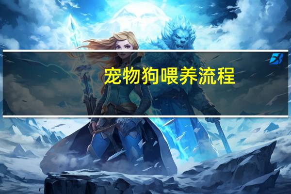 宠物狗喂养流程