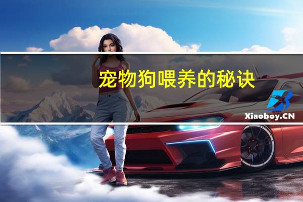 宠物狗喂养的秘诀