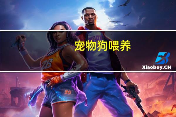 宠物狗喂养