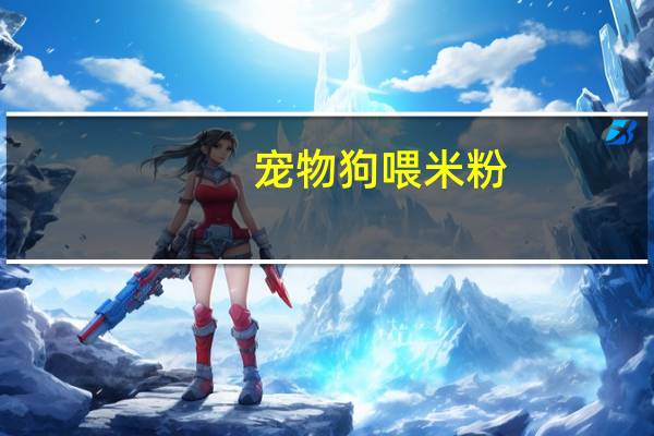 宠物狗喂米粉
