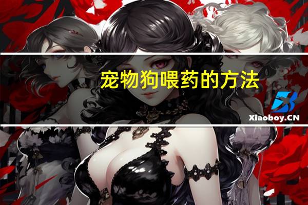 宠物狗喂药的方法