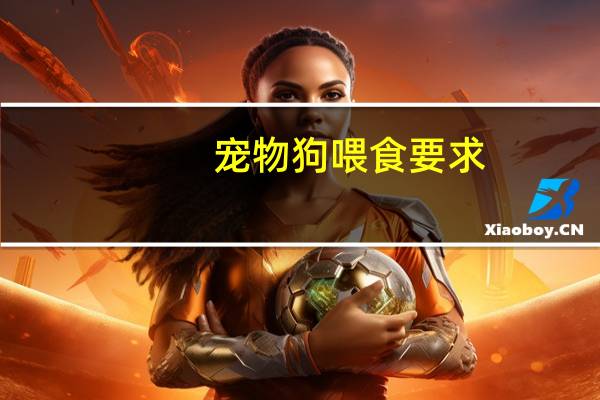 宠物狗喂食要求