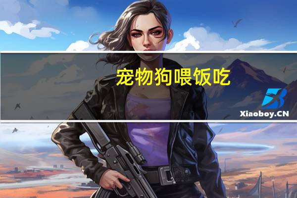 宠物狗喂饭吃