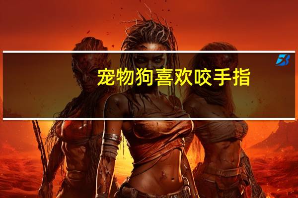 宠物狗喜欢咬手指