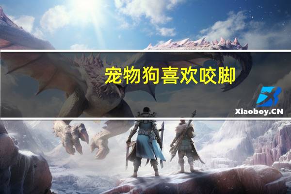 宠物狗喜欢咬脚