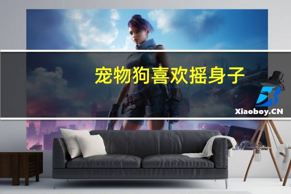 宠物狗喜欢摇身子