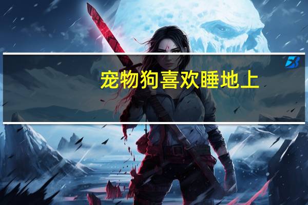 宠物狗喜欢睡地上