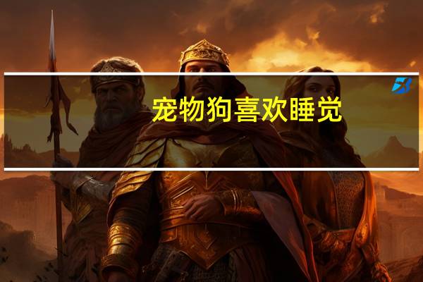 宠物狗喜欢睡觉