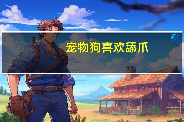 宠物狗喜欢舔爪