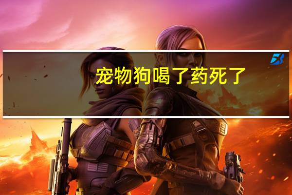 宠物狗喝了药死了