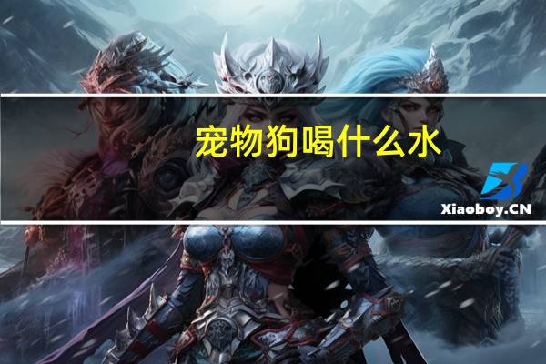 宠物狗喝什么水