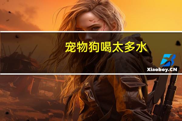 宠物狗喝太多水
