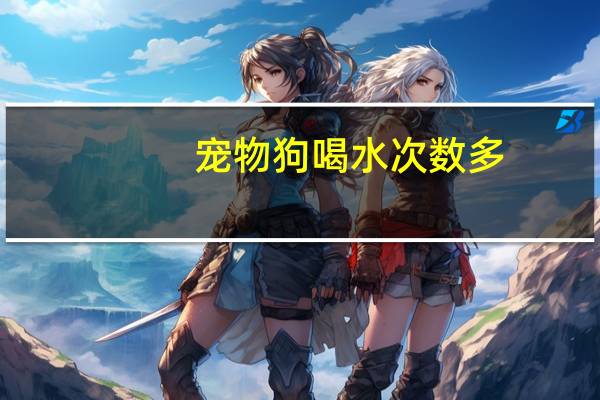 宠物狗喝水次数多
