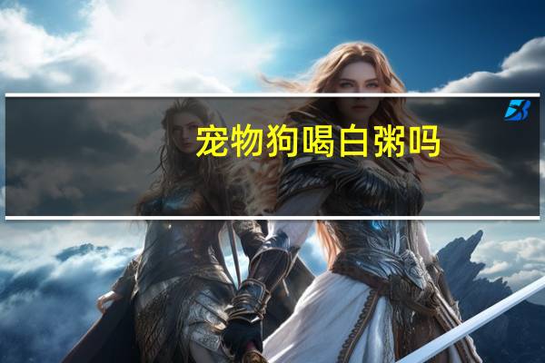 宠物狗喝白粥吗