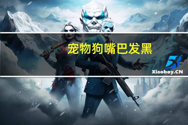 宠物狗嘴巴发黑