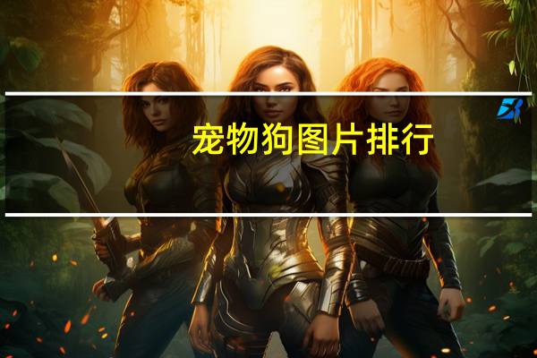 宠物狗图片排行