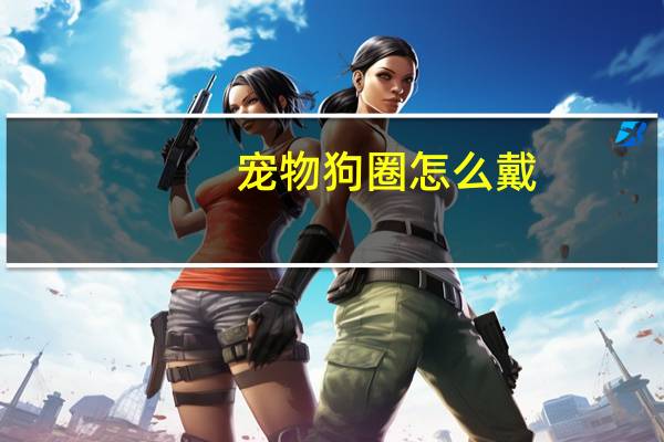 宠物狗圈怎么戴