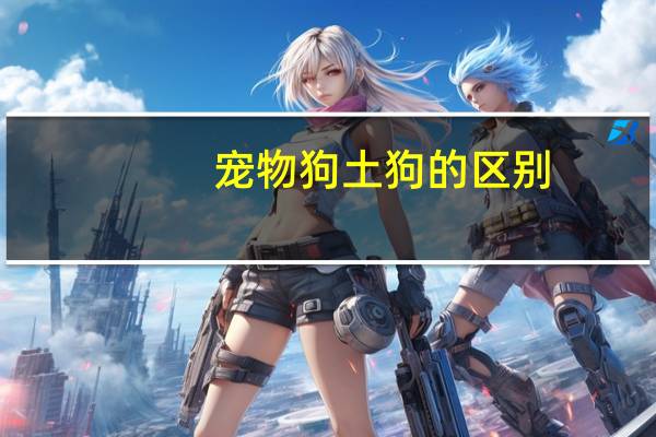 宠物狗土狗的区别