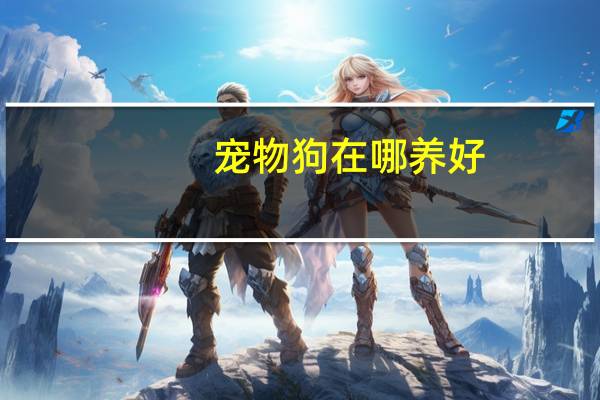 宠物狗在哪养好