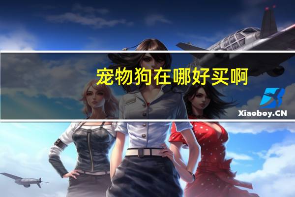 宠物狗在哪好买啊