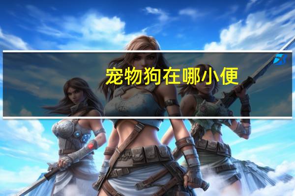 宠物狗在哪小便