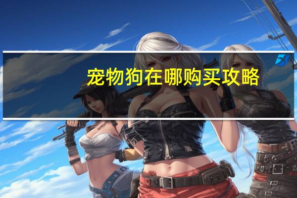 宠物狗在哪购买攻略